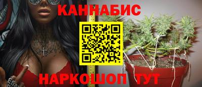 индика Будённовск