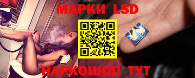 индика Будённовск