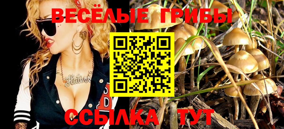 Псилоцибиновые грибы мухоморы  Галлюциногенные грибы прущие грибы  Вход с VPN  Уфа 